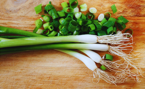 <span>無農薬 九条ねぎ</span>火入れするととびっきりの甘さに襲われてしまう 冬の危険なアイテムです