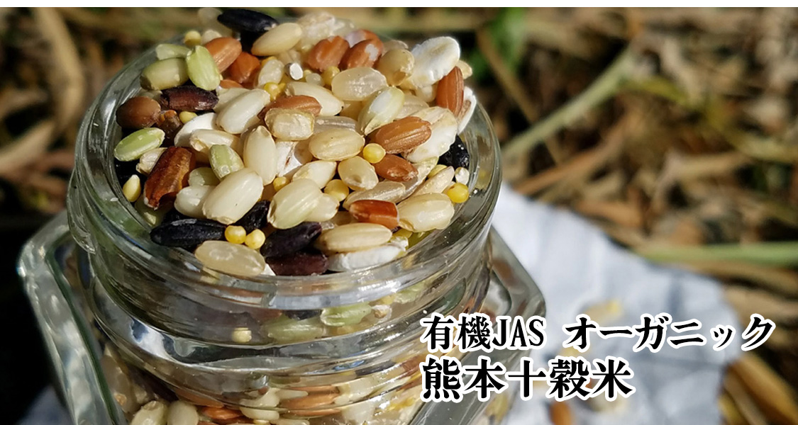 熊本十穀米