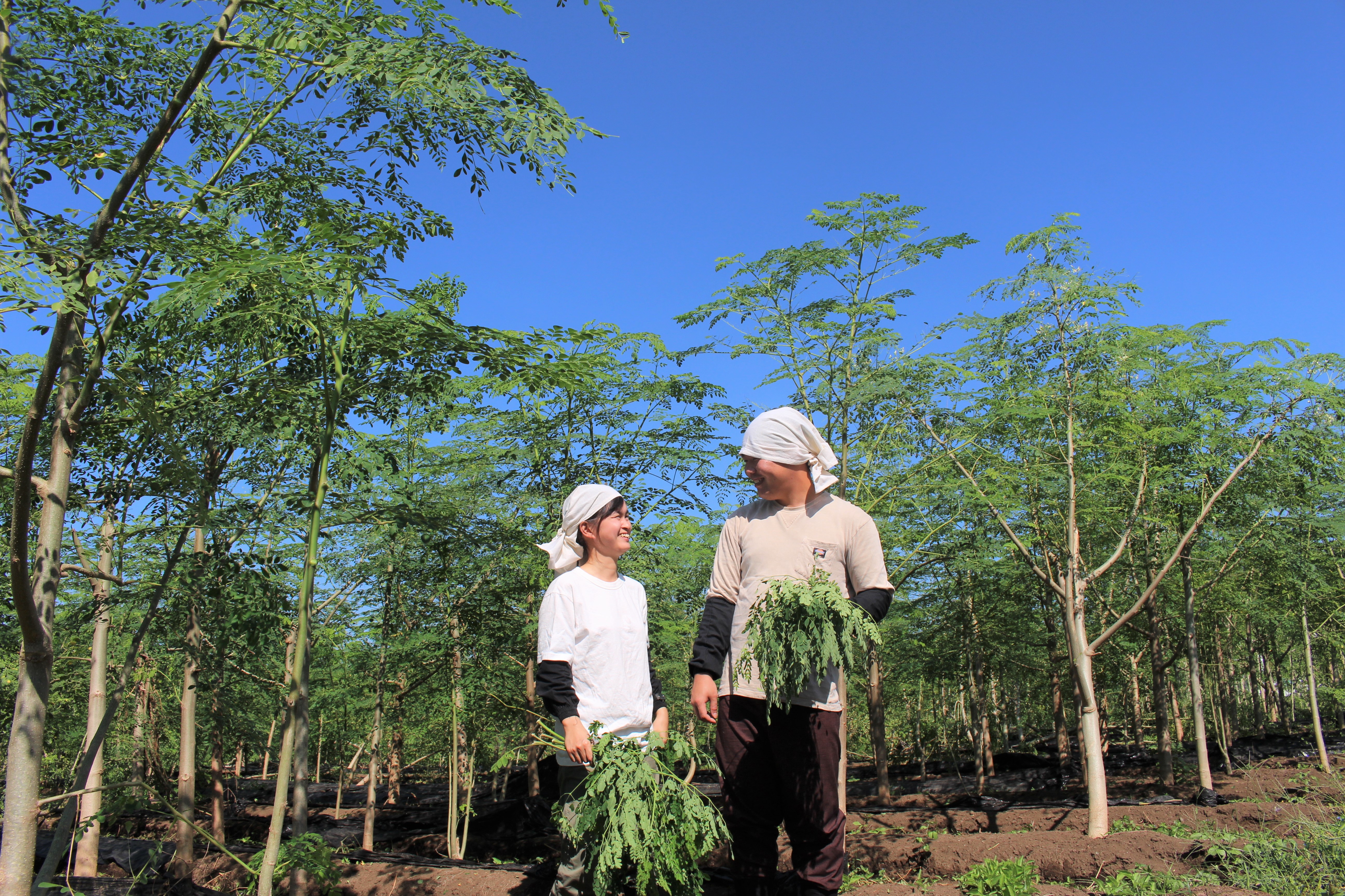 パウダーの鮮やかさ