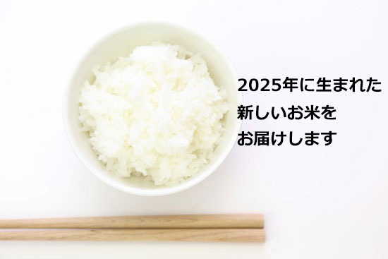 JAS有機栽培米 2025年度米