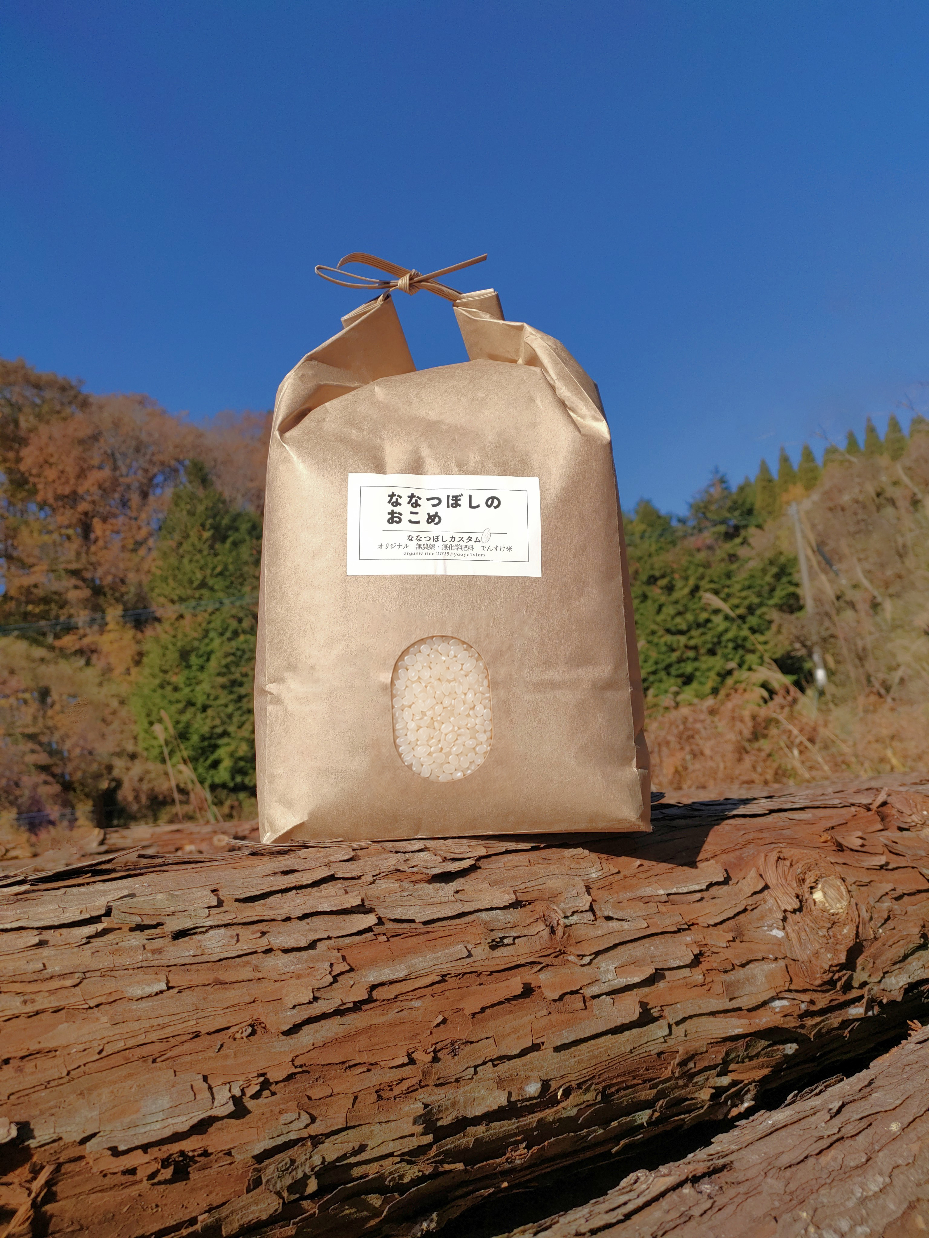 ななつぼしのお米・無農薬栽培七城ヒノヒカリ