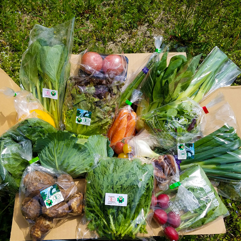 元気野菜お試しセット イメージ