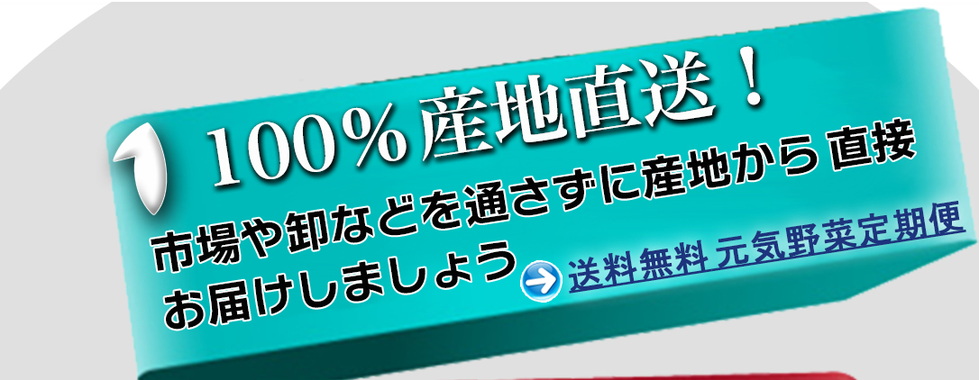 送料無料 元気野菜定期便